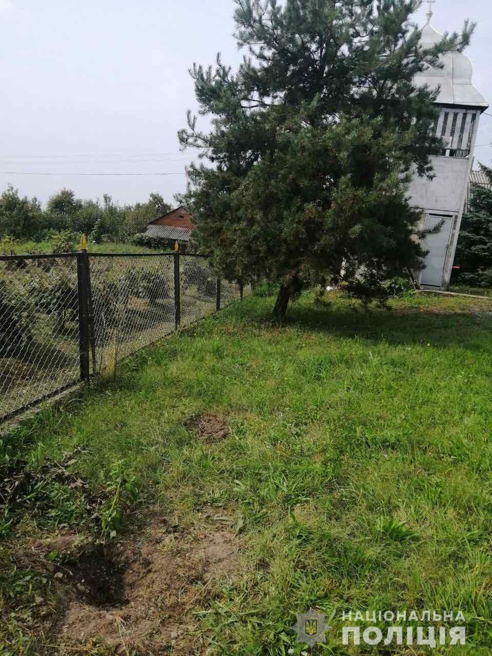 На Ужгородщині двоє чоловіків викопали на подвір'ї місцевої церкви 12 деревцят туї (ФОТО)