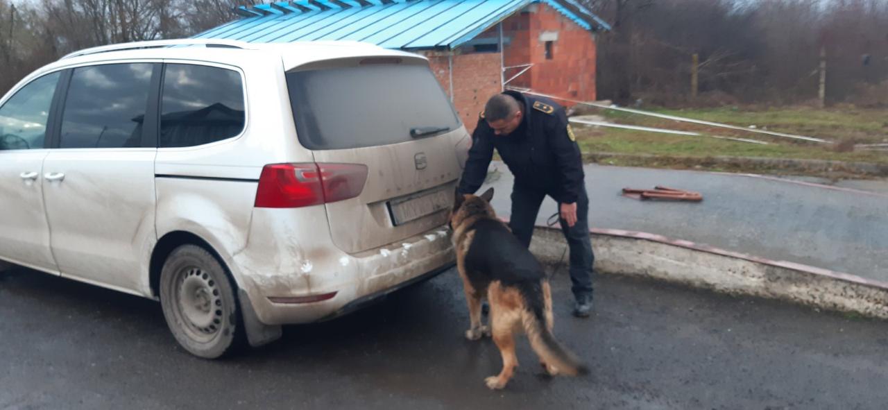 На Закарпатті службовий собака винюхав у багажнику "липового" дипломата з Угорщини велику партію сигарет (ФОТО)